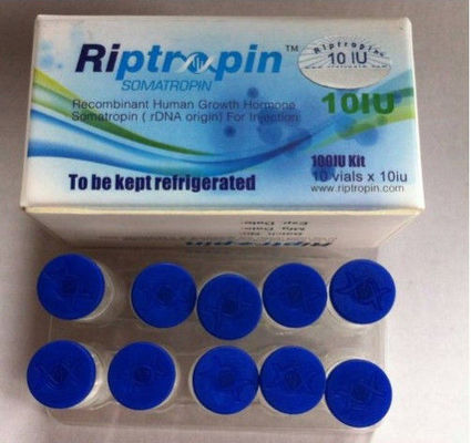 Péptido Riptropin 100iu/kit de la hormona de crecimiento humano para el músculo grande en el envío seguro
