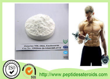 Esteroide estándar de Ostarine Mk-2866 SARM del polvo de los esteroides de USP SARMs para el levantamiento de pesas de la aptitud