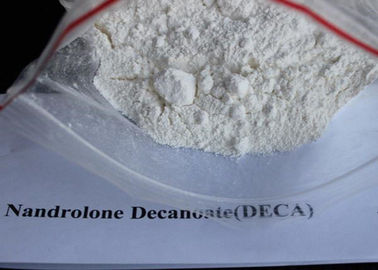 Esteroide blanco de CAS 7207-92-3 Deca Durabolin del polvo, SGS del polvo de Decanoate del Nandrolone aprobado