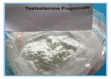 Esteroide de la inyección de Propinoate de la prueba de CAS 57-85-2 del polvo de la testosterona