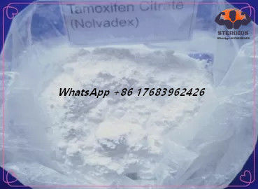 El Tamoxifen anti de los esteroides del estrógeno del polvo blanco trata con citrato CAS 54965-24-1 Nolvadex CAS 54965-24-1